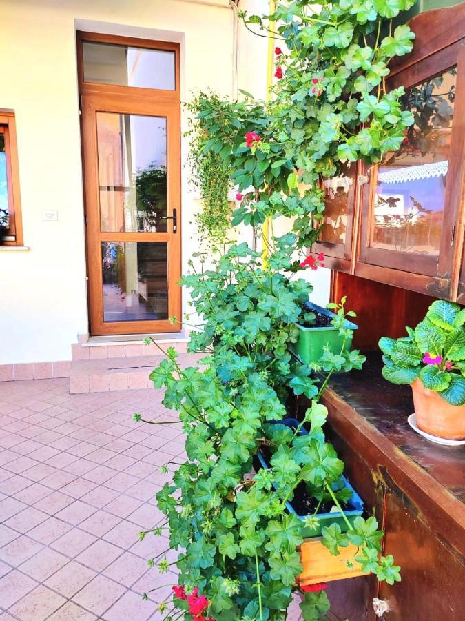 ברנצונה סול גארדה Hotel Luisa מראה חיצוני תמונה